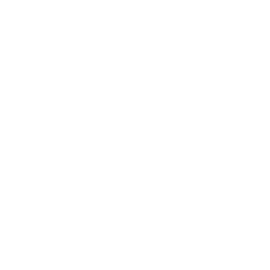 Talon Services Group